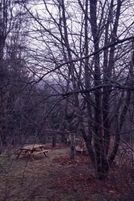 Picnic table in on the Riverview grounds