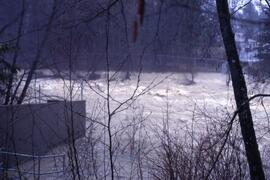 Flooding in Coquitlam in the spring of 1997