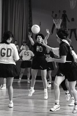 Appex Purple v.s. Abby at Viscount Elementary, 3250 Flint. Netball.