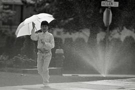 Walking by sprinklers on Porter St. with umbrella