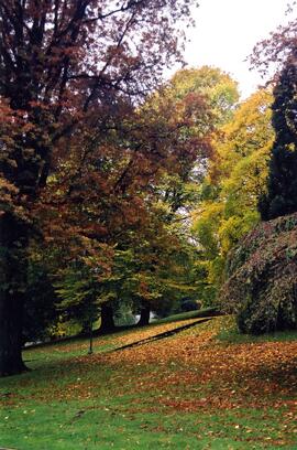 Riverview grounds in autumn