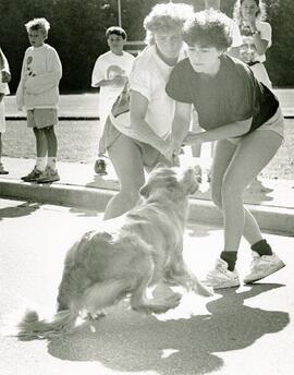 This poor pooch got so freaked out by the cannon shot at the start of Sunday's Terry Fox Run