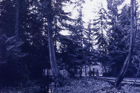 Open original Photographs and Documents