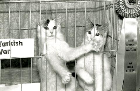 Open original Photographs and Documents