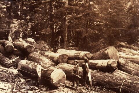 Open original Photographs and Documents