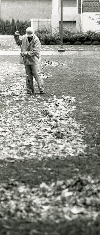 Open original Photographs and Documents