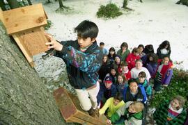 Kids hanging Bird feeder at school, colour