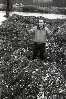 Art Knapps Port Moody. Wim Van der Zalm on top of chipped Christmas trees. Showing the results of 1993 tree chipping program promoted through Metro valley group.