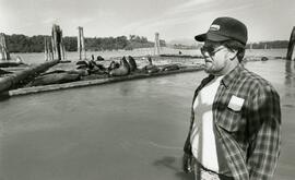 Man observing sea lions on a log boom