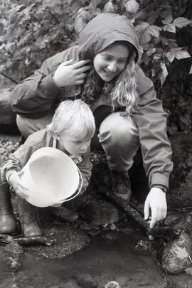 Salmon being released into Noons Creek during the Fingerling Festival