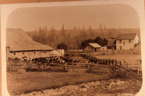 Open original Photographs and Documents