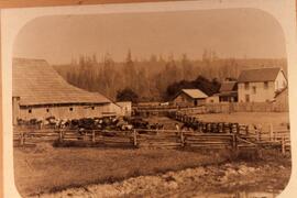 D. McLean's Dairy Farm Coquitlam B.C.