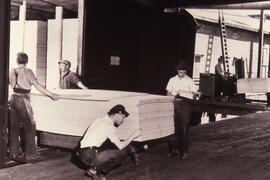 Workers making plywood