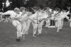 Martial arts demonstration at the Tri-City Children's Festival at Mundy Park