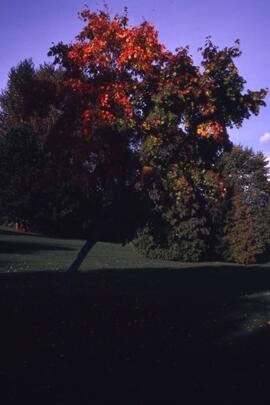 Riverview grounds in autumn