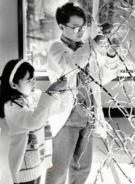 Lisa Chow, 7 and brother Alan Chow, 12 tied yellow ribbons on a tree at Pleasantside Elementary