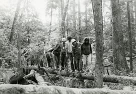 Teenagers hiking in the forest