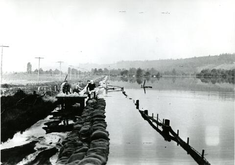 Open original Photographs and Documents