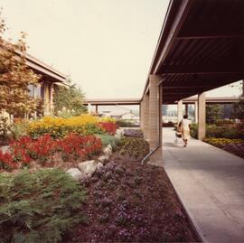 Social Recreation Centre