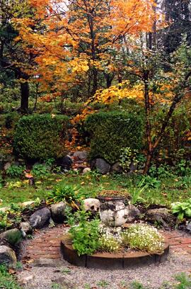 Riverview grounds in autumn