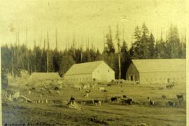 Austin Farm in Coquitlam