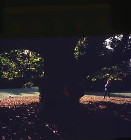 Riverview grounds in autumn