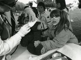 Teddy Bear Picnic