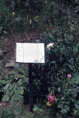 Finnie's Garden