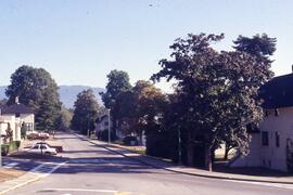 Trees on the Riverview grounds