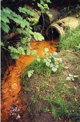 Scott Creek tributary facing upstream showing discharge pipe