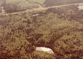 Aerial of Mundy Lake and Lost Lake