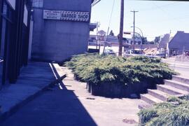 Maillardville downtown reviltalization project